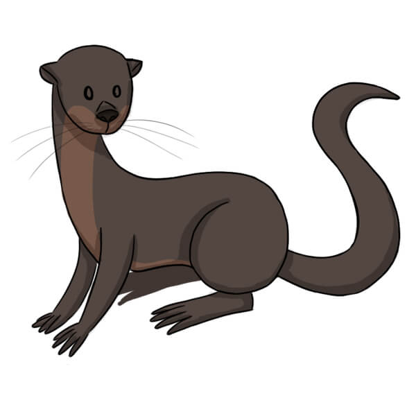 Animal préféré
la loutre Animal préféré
la loutre