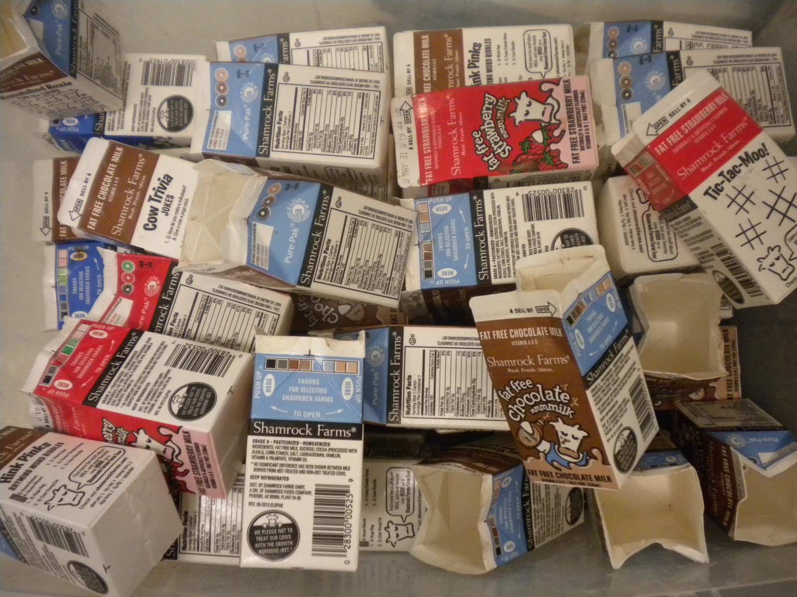 Milk cartons are often readily available in our schools!