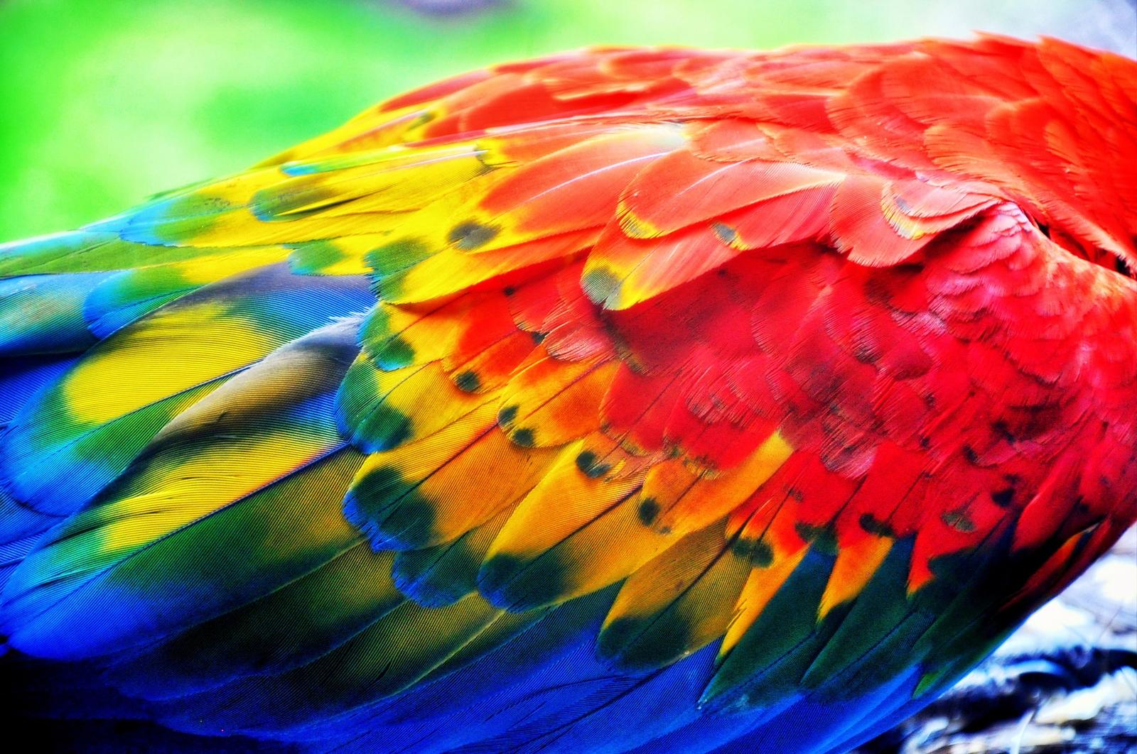 Mettez le monde en couleurs Mettez le monde en couleurs